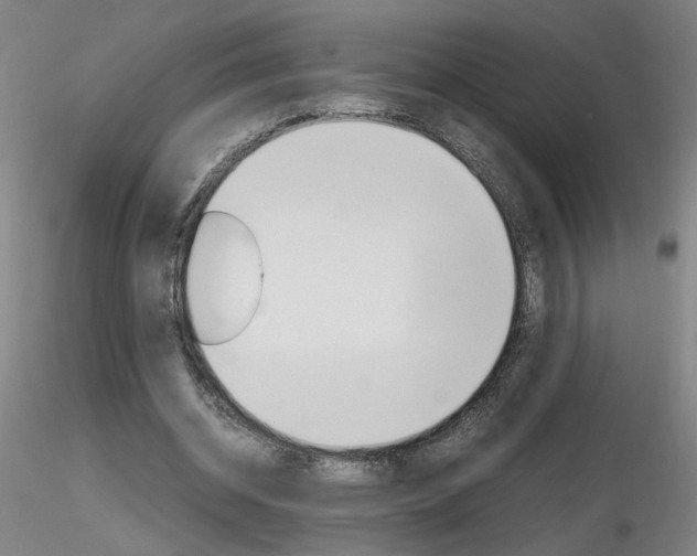 X0000116800534200912181120