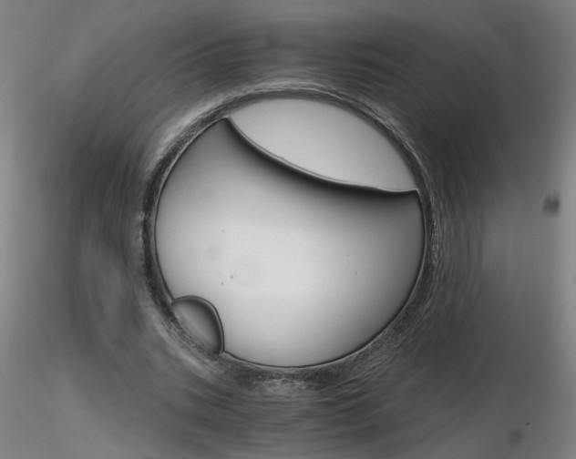 X0000116800535200912181120