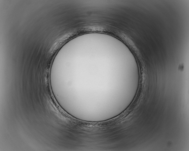 X0000116800537200912181120