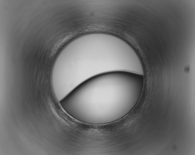 X0000116800538200912181120