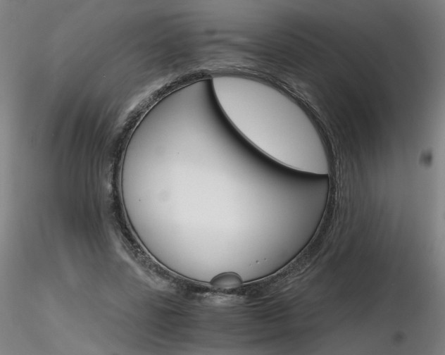 X0000116800539200912181120