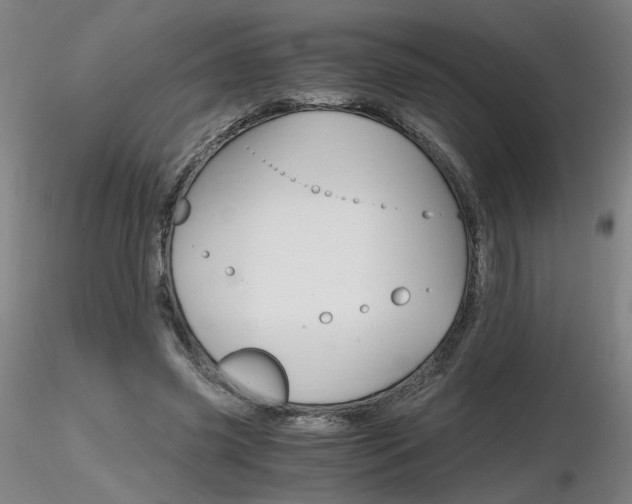 X0000116800541200912181120