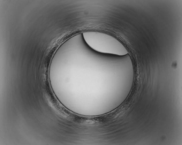 X0000116800542200912181120