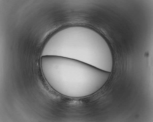 X0000116800543200912181120