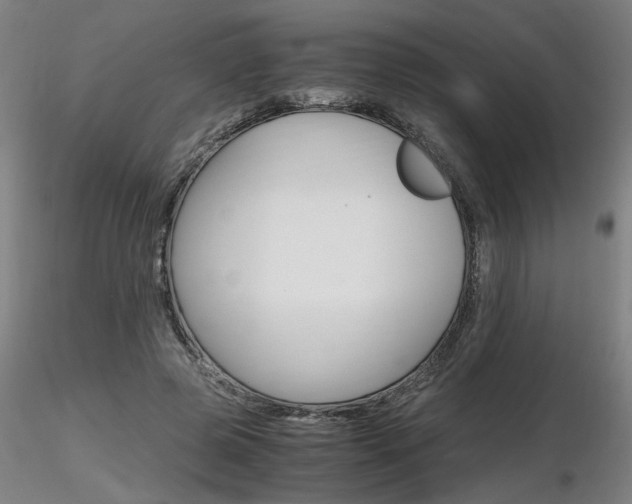 X0000116800545200912181120