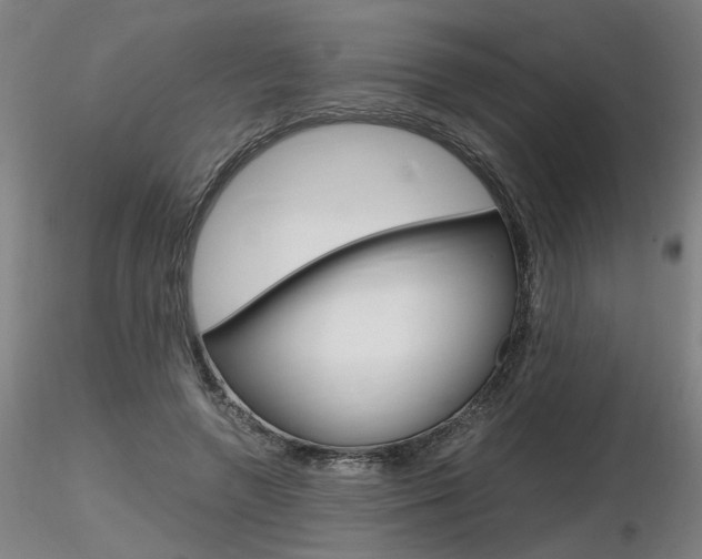 X0000116800546200912181120