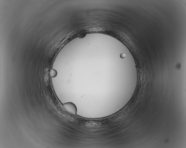 X0000116800549200912181120