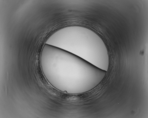 X0000116800551200912181120