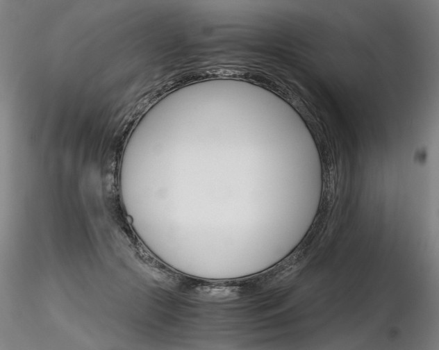 X0000116800553200912181120