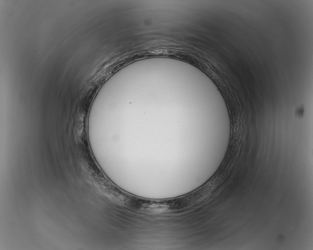 X0000116800554200912181120