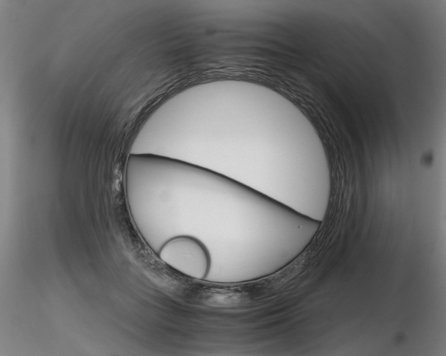 X0000116800555200912181120