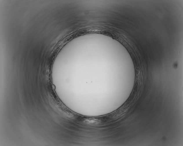 X0000116800557200912181120