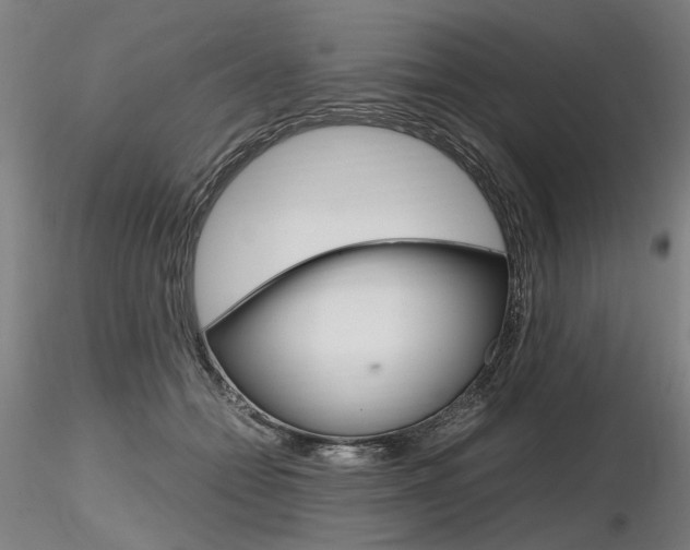 X0000116800558200912181120