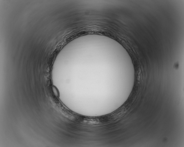 X0000116800559200912181120