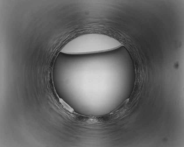 X0000116800562200912181120