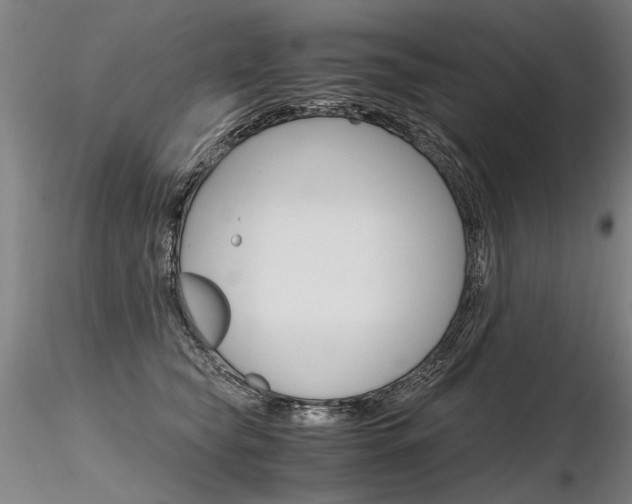 X0000116800565200912181120