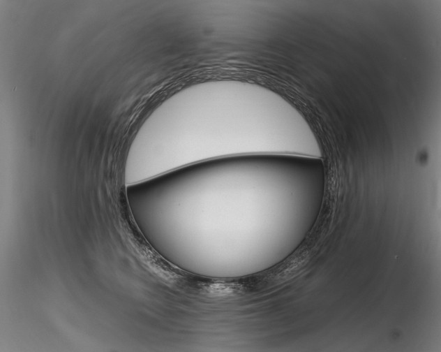 X0000116800566200912181120