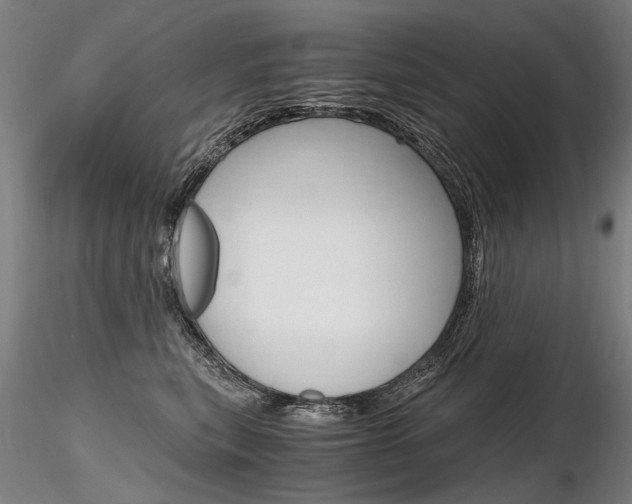 X0000116800567200912181120