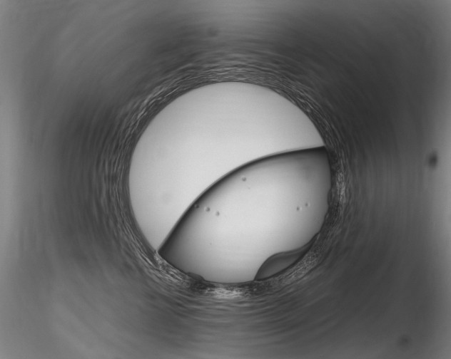 X0000116800570200912181120