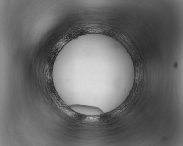 X0000116800573200912181120