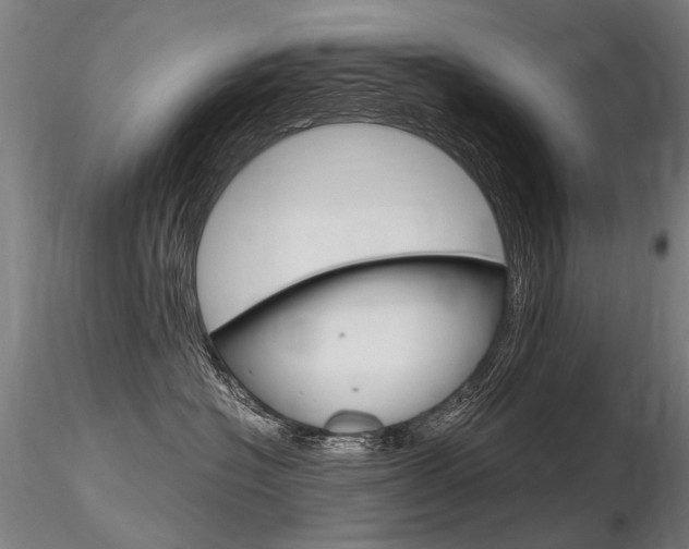 X0000116800574200912181120