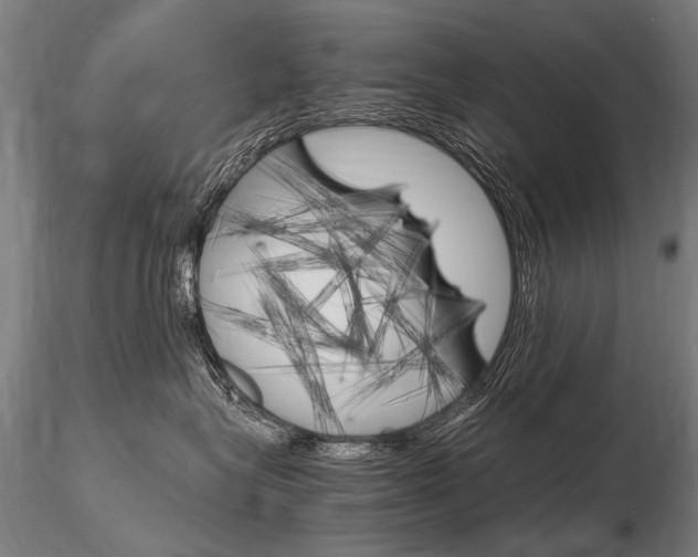 X0000116800575200912181120