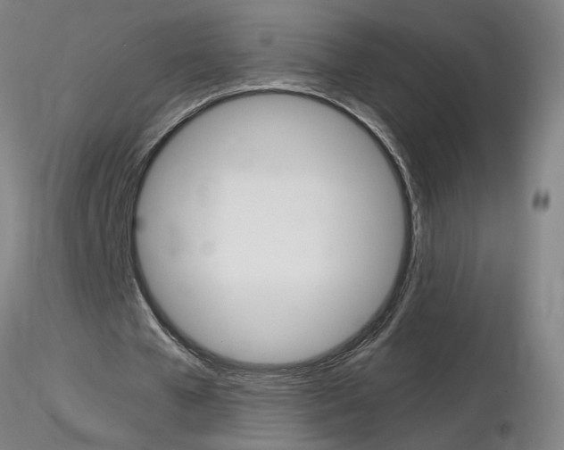 X0000116800577200912181120