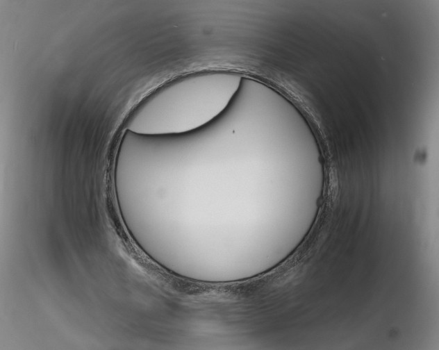 X0000116800578200912181120