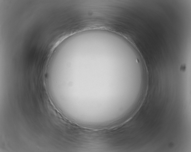 X0000116800579200912181120