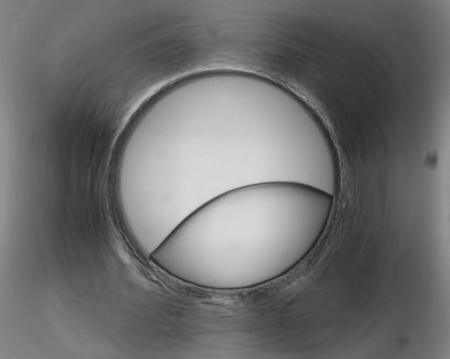 X0000116800580200912181120