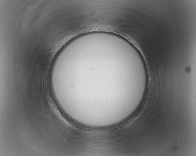 X0000116800581200912181120