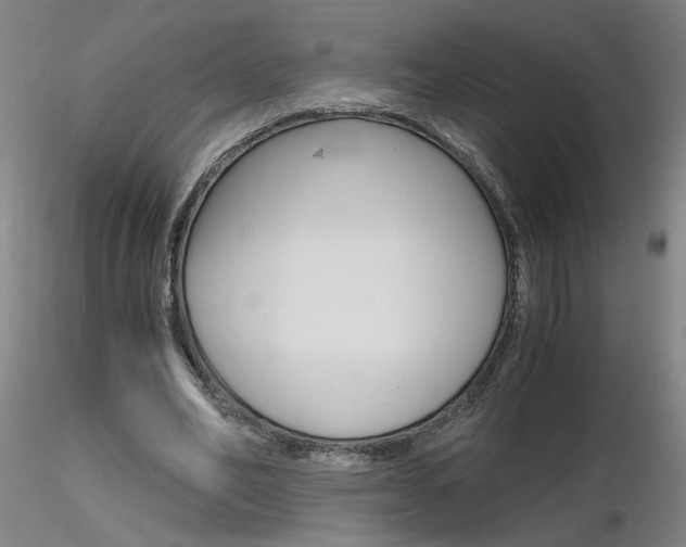 X0000116800582200912181120