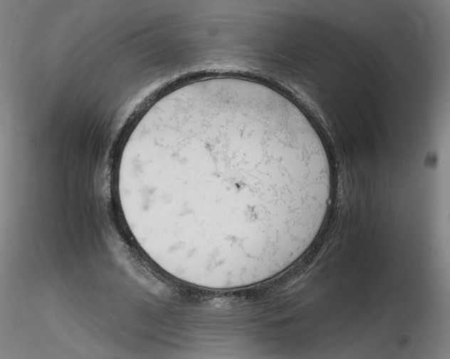 X0000116800584200912181119