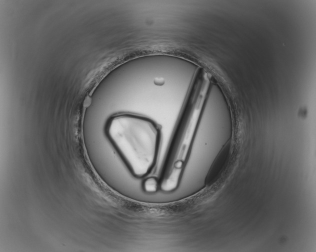 X0000116800585200912181119