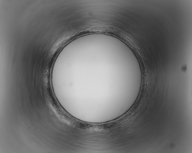 X0000116800586200912181119