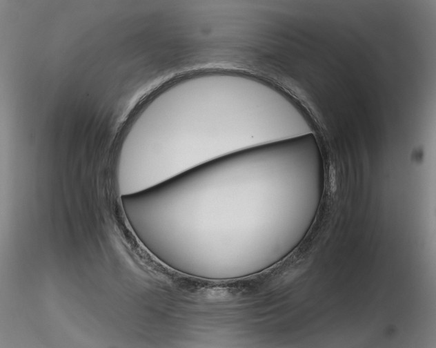 X0000116800588200912181119