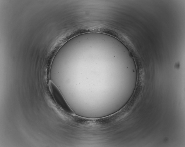 X0000116800589200912181119