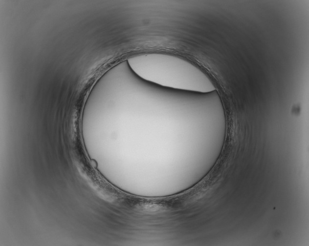 X0000116800590200912181119