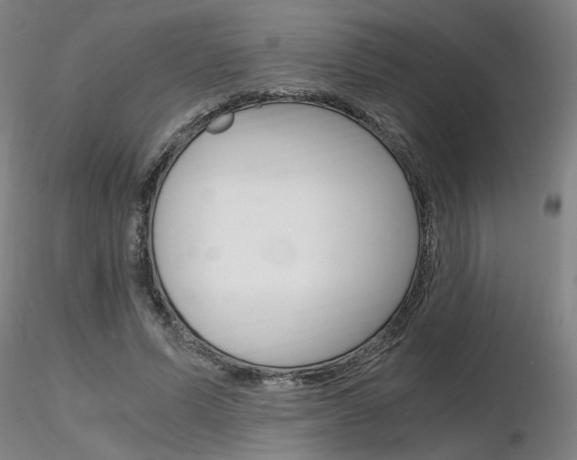 X0000116800591200912181119
