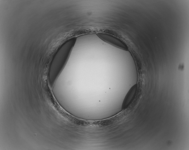 X0000116800593200912181119