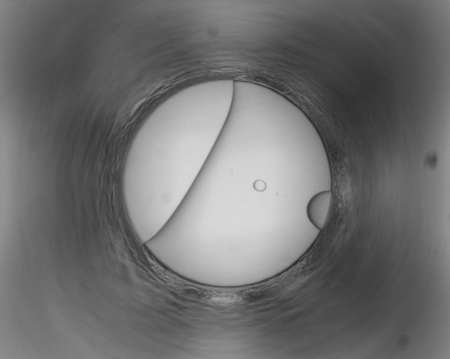 X0000116800595200912181119