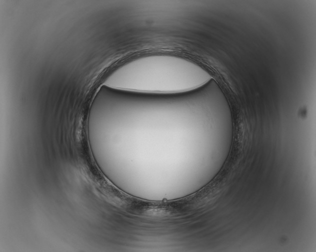 X0000116800596200912181119