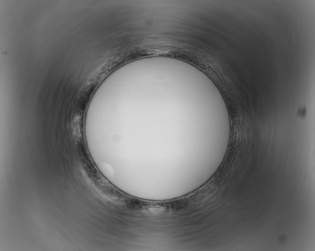 X0000116800598200912181119