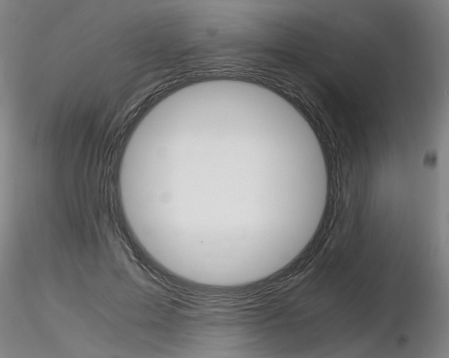 X0000116800599200912181119