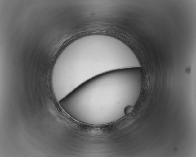 X0000116800600200912181119
