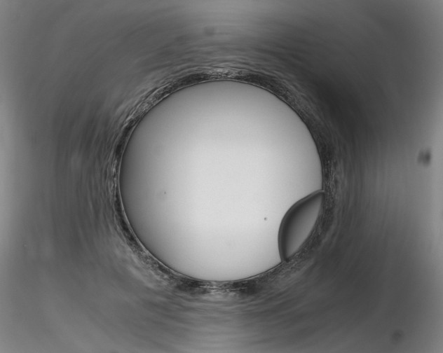 X0000116800601200912181119