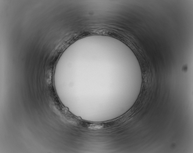 X0000116800602200912181119
