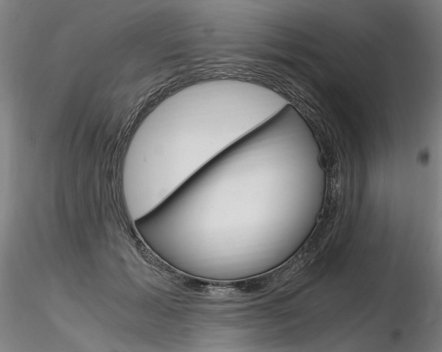 X0000116800605200912181119