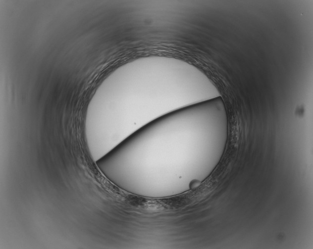 X0000116800608200912181119