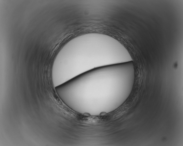 X0000116800612200912181119